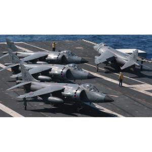 1/48 Harrier FRS1 40 ANN Falkland