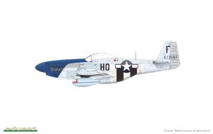 1/48 P-51D-5, Weekend Edition