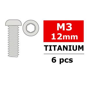 CORALLY TITANIUM SCREWS M3 X 12MM HEX BUTTON HEAD 6 PCS