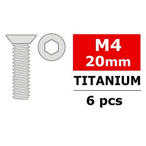 CORALLY TITANIUM SCREWS M4 X 20MM HEX FLAT HEAD 6 PCS