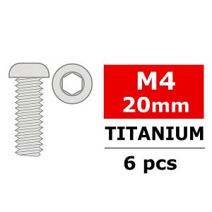 CORALLY TITANIUM SCREWS M4 X 20MM HEX BUTTON HEAD 6 PCS