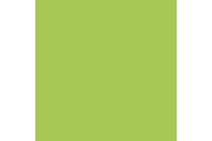 210:MODELCOLOR 737-17ML. GREEN FLUORESCENT