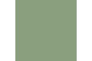 076:Modelcolor 974-17ml. Green Sky