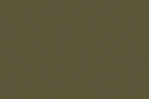 301 Model Air: AMT-4 Camouflage Green