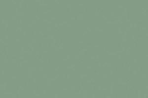 305 Model Air: Interior Grey Green
