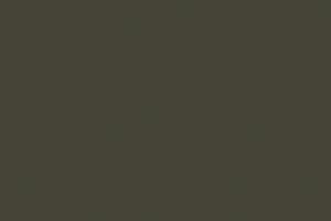 316 Model Air: N. 41 Dark Olive Drab