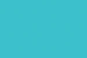 317 Model Air:AII SV. Gol Light Blue