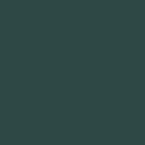 089:Modelcolor 979-17ml. Camouflage Dark Green
