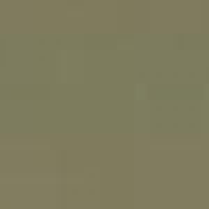 124:Modelcolor 882-17ML. Middlestone
