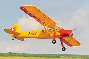 Fieseler Fi156C Storch 1800mm EP ARTF
