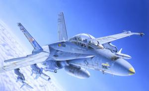 Italeri 1/72 F/A-18 C/D "Wild Weasel" (Modelset)