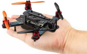 Sparrow FPV Drone ARF