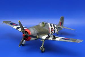 1:48 Hellcat Mk.I/II Profipack Dual Comb
