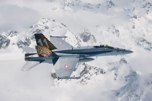 Italeri 1/72 F/A-18 HORNET “TIGER MEET 2016”