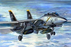Trumpeter 1:32 F-14B Tomcat