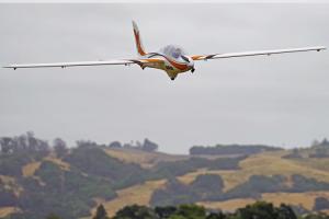 Fox Electric Glider 3000mm PNP FMS