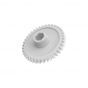 Main Spur Gear