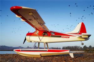 Beaver V2 2000mm PNP with Gyro