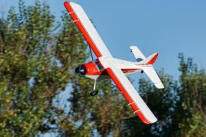 Beaver V2 2000mm PNP with Gyro