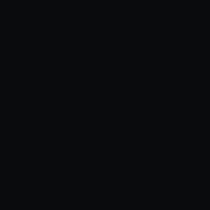* * * * * * * * * * *