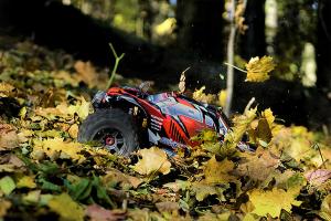 CORALLY SKETER XL4S MONSTER TRUCK BRUSHLESS RTR