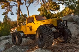 Element RC Enduro Ecto Trail Truck RTR