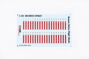 1/48 Remove Before Flight (black) SPACE