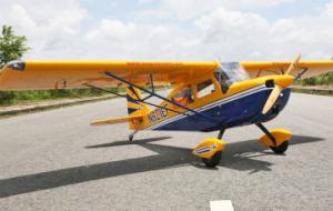 Decathlon 60-80cc 3100mm Yellow New Version
