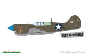 Eduard 1/48 P-40K Warhawk DUAL COMBO