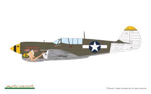 Eduard 1/48 P-40N Warhawk, Weekend edition