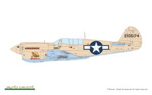 Eduard 1/48 P-40N Warhawk, Weekend edition