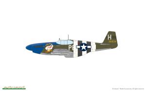 Eduard 1/48 D-Day Mustangs dual combo set