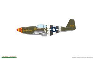 Eduard 1/48 D-Day Mustangs dual combo set