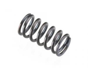 Valve Spring FS26S*