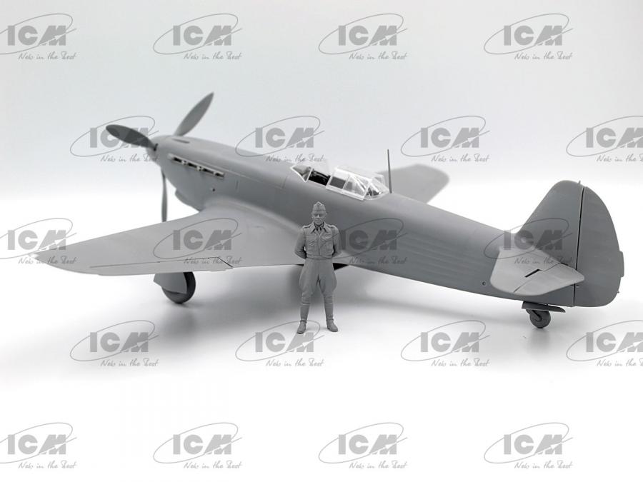 1/32 Normandie-Niemen. Plane of Roland de la Poype