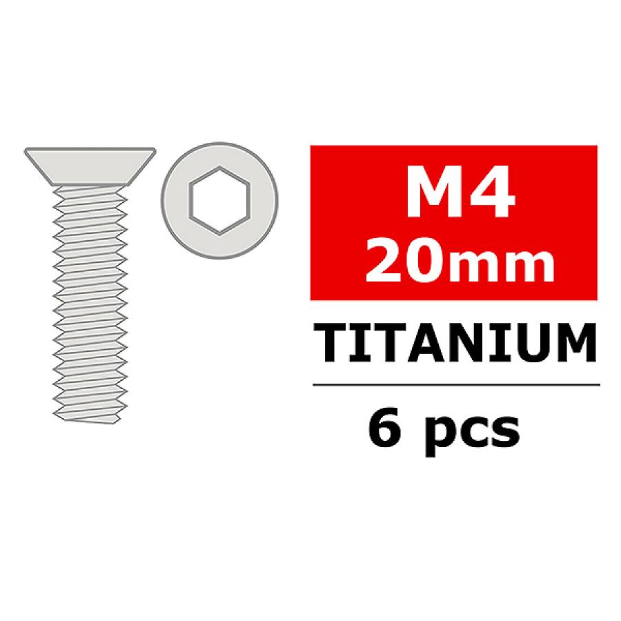 CORALLY TITANIUM SCREWS M4 X 20MM HEX FLAT HEAD 6 PCS