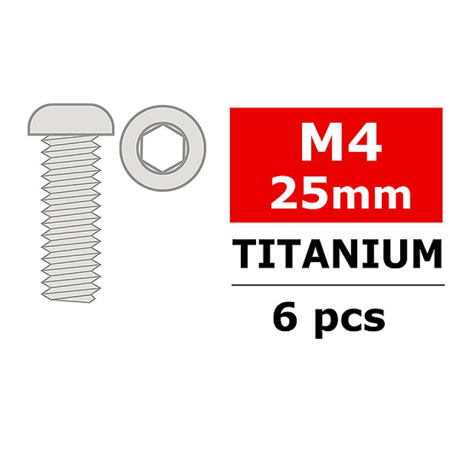 CORALLY TITANIUM SCREWS M4 X 25MM HEX BUTTON HEAD 6 PCS