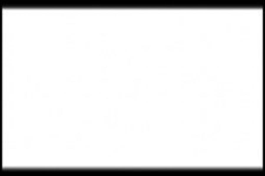 Matt White (Flat) 22ml