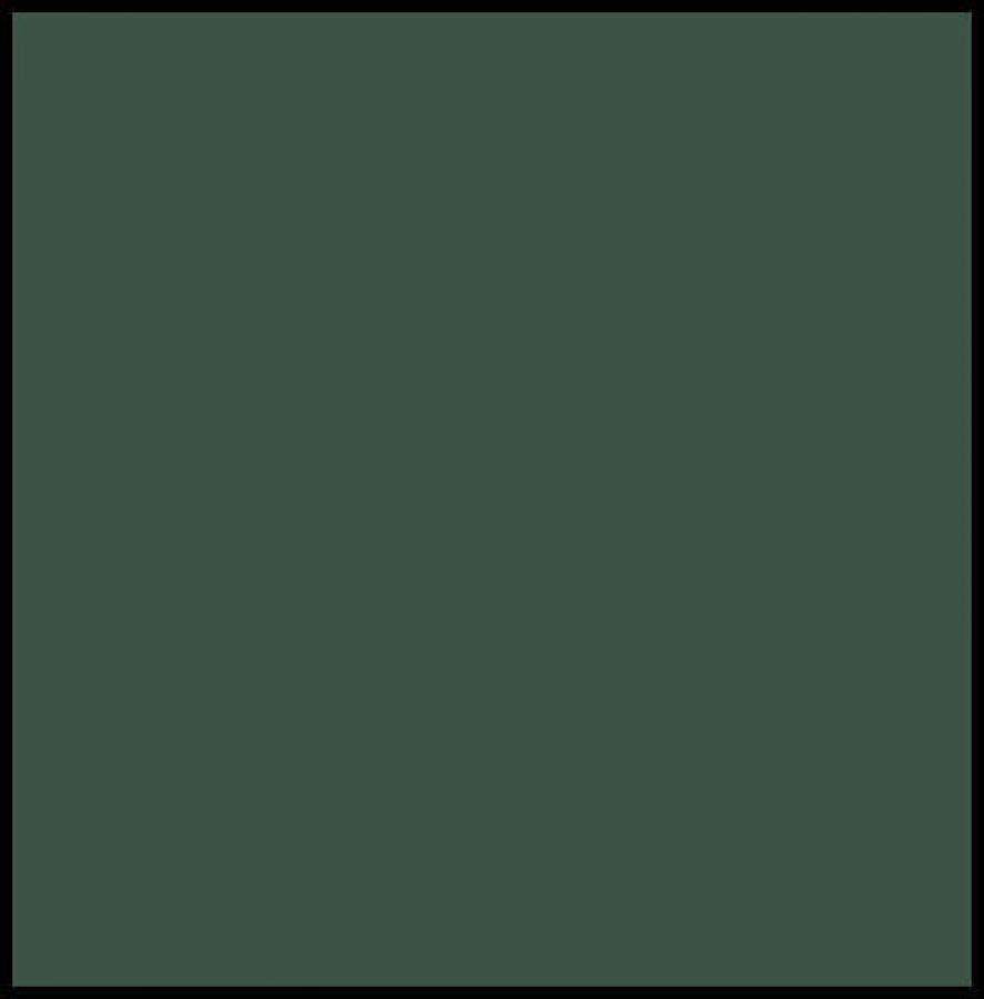 108:Modelcolor 894-17ml. Camo. Olive Green