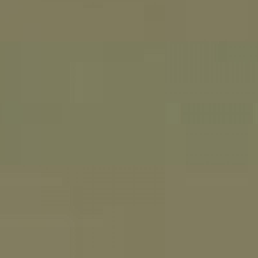124:Modelcolor 882-17ML. Middlestone