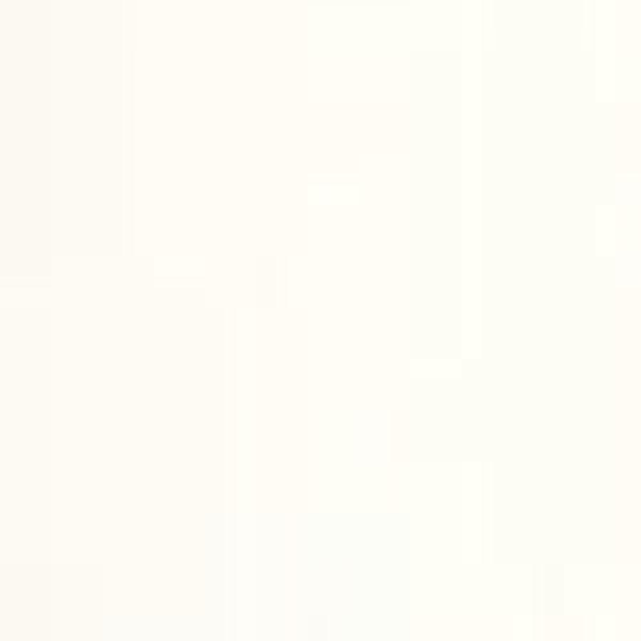 201:MODELCOLOR 853-17ML. WHITE GLAZE