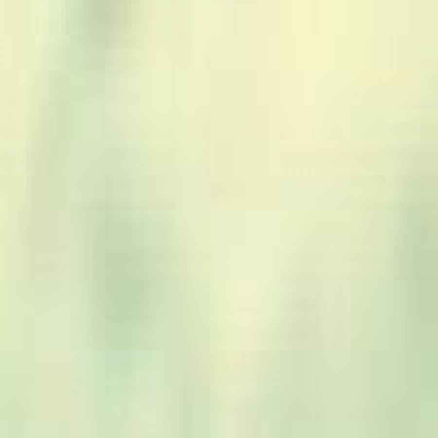 202:MODELCOLOR 832-17ML. VERDIN GLAZE