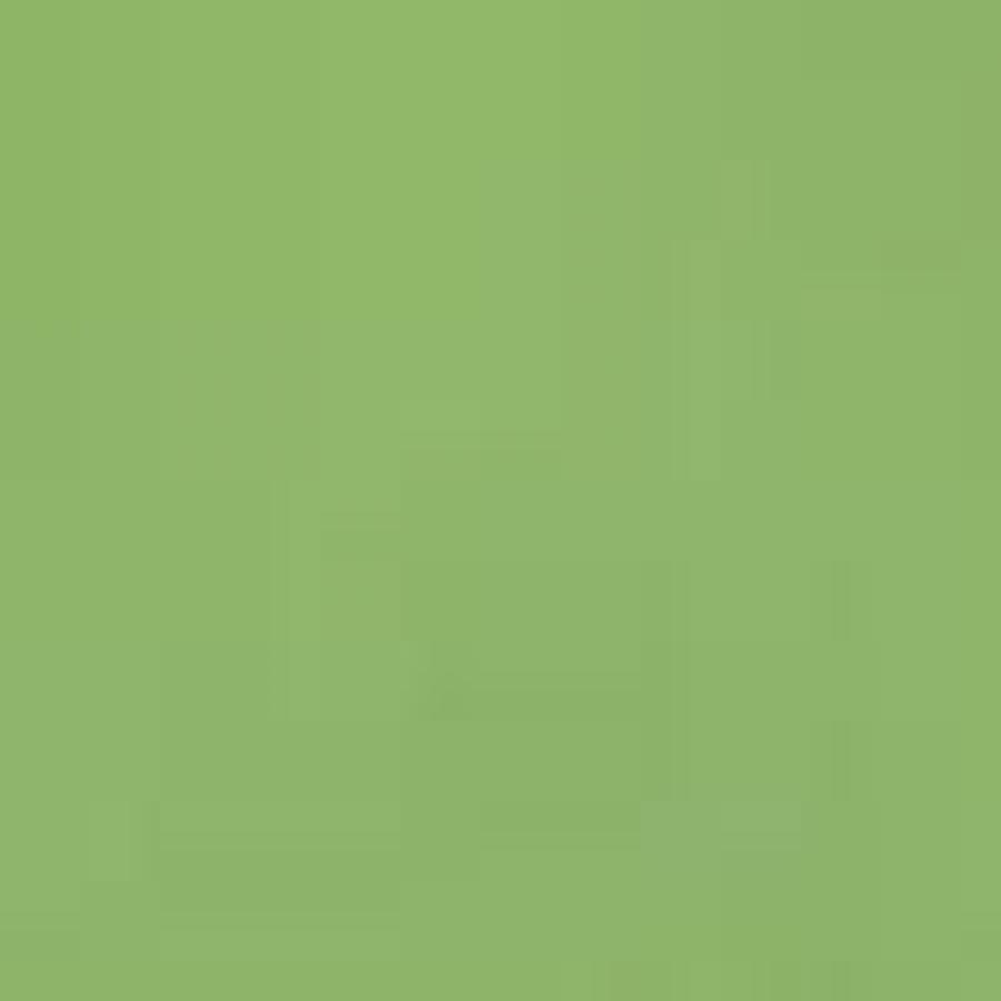 210:MODELCOLOR 737-17ML. GREEN FLUORESCENT