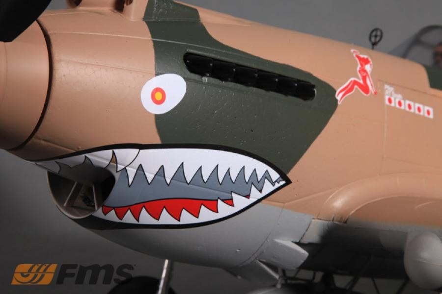 P-40B 1400mm PNP FMS