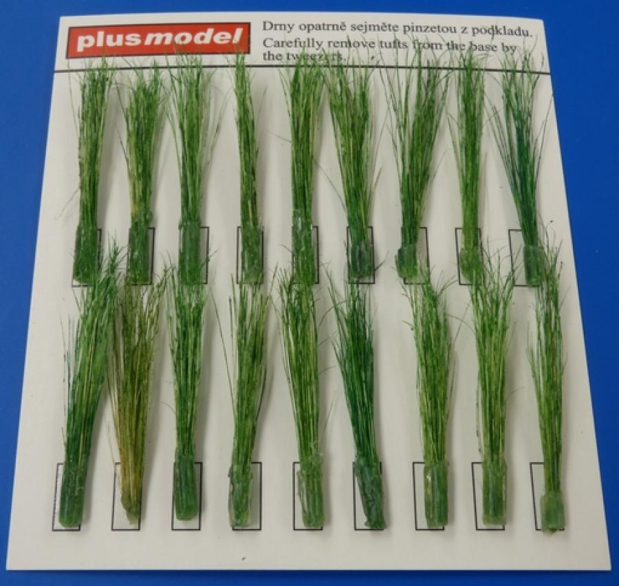 1:35 Tufts of reeds - green
