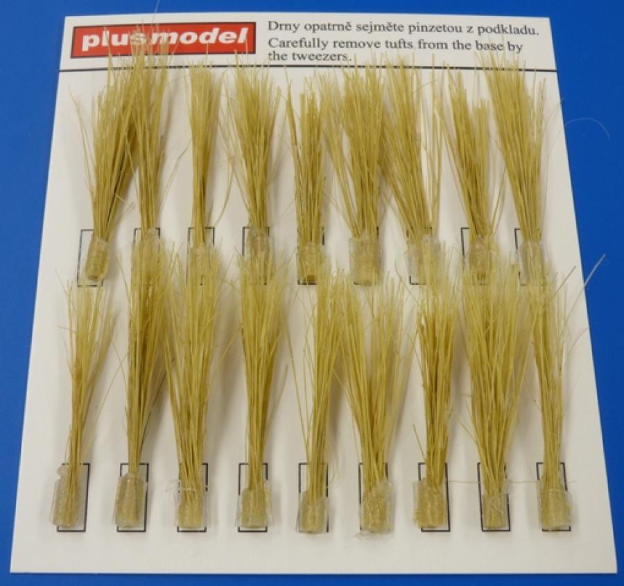 1:35 Tufts of reeds - dry