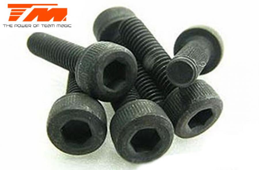 3x14mm Cap Screw (6)