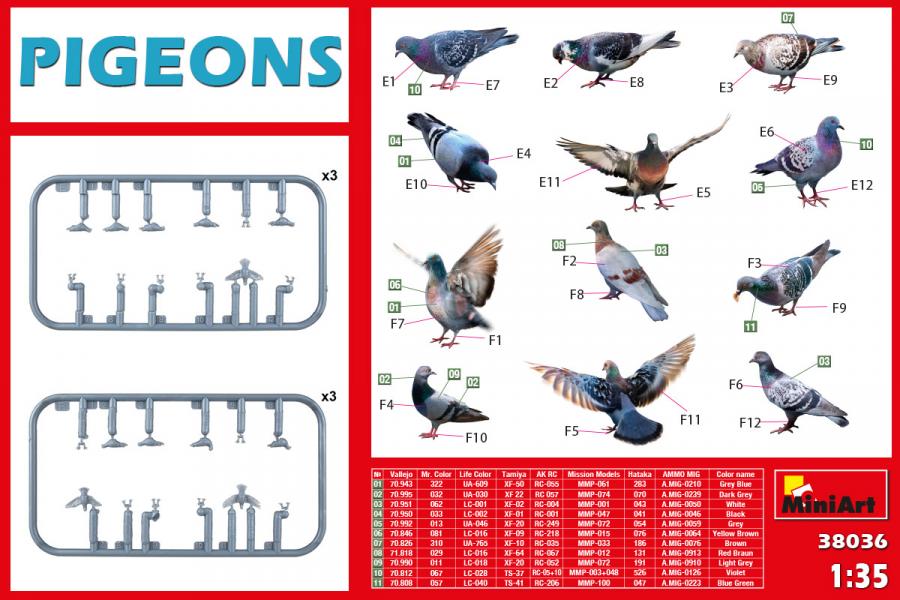 1:35 Pigeons