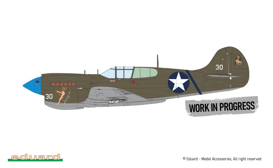 Eduard 1/48 P-40K Warhawk DUAL COMBO