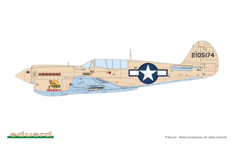 Eduard 1/48 P-40N Warhawk, Weekend edition